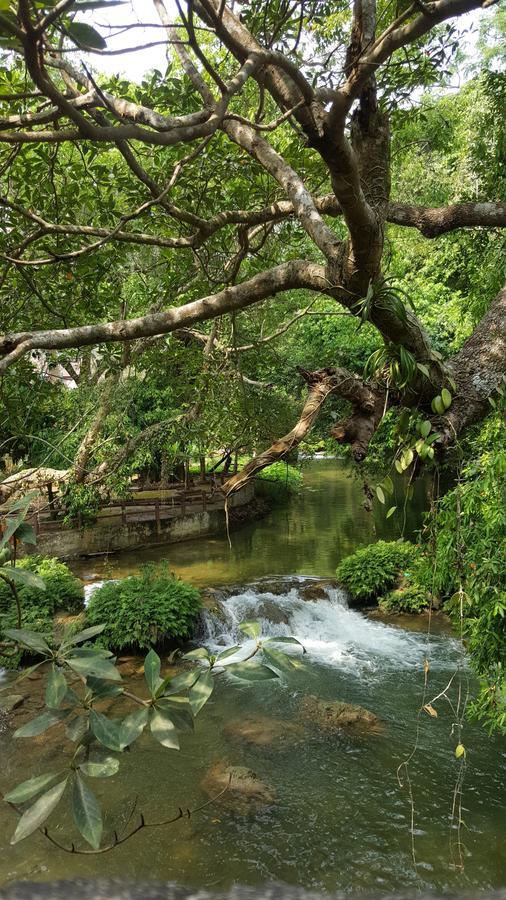 Khao Nam Fah Resort Pak Chong Zewnętrze zdjęcie